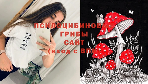мяу мяу мука Зерноград